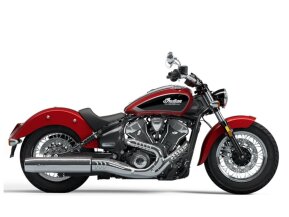 2025 Indian Scout for sale 201621055