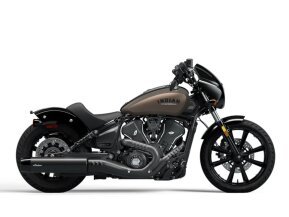 2025 Indian Scout for sale 201621070