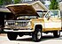 1976 Chevrolet Other Chevrolet Models for sale 101128975
