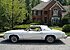 1975 Oldsmobile Cutlass Supreme Coupe for sale 101136201