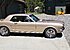 1965 Ford Mustang Coupe for sale 101160867