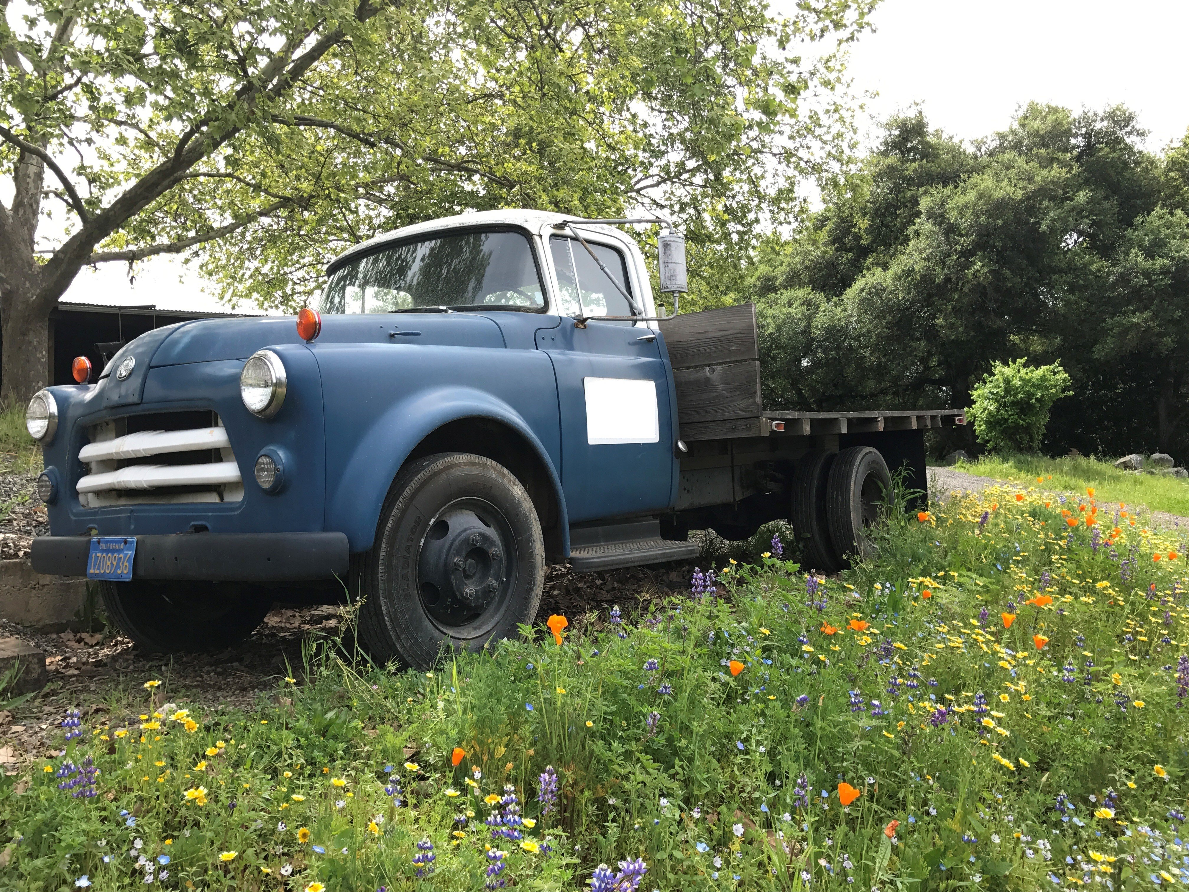 Dodge c series
