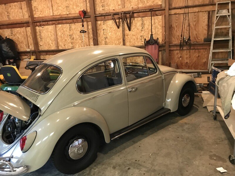 1966 Volkswagen Beetle Classics For Sale Classics On Autotrader