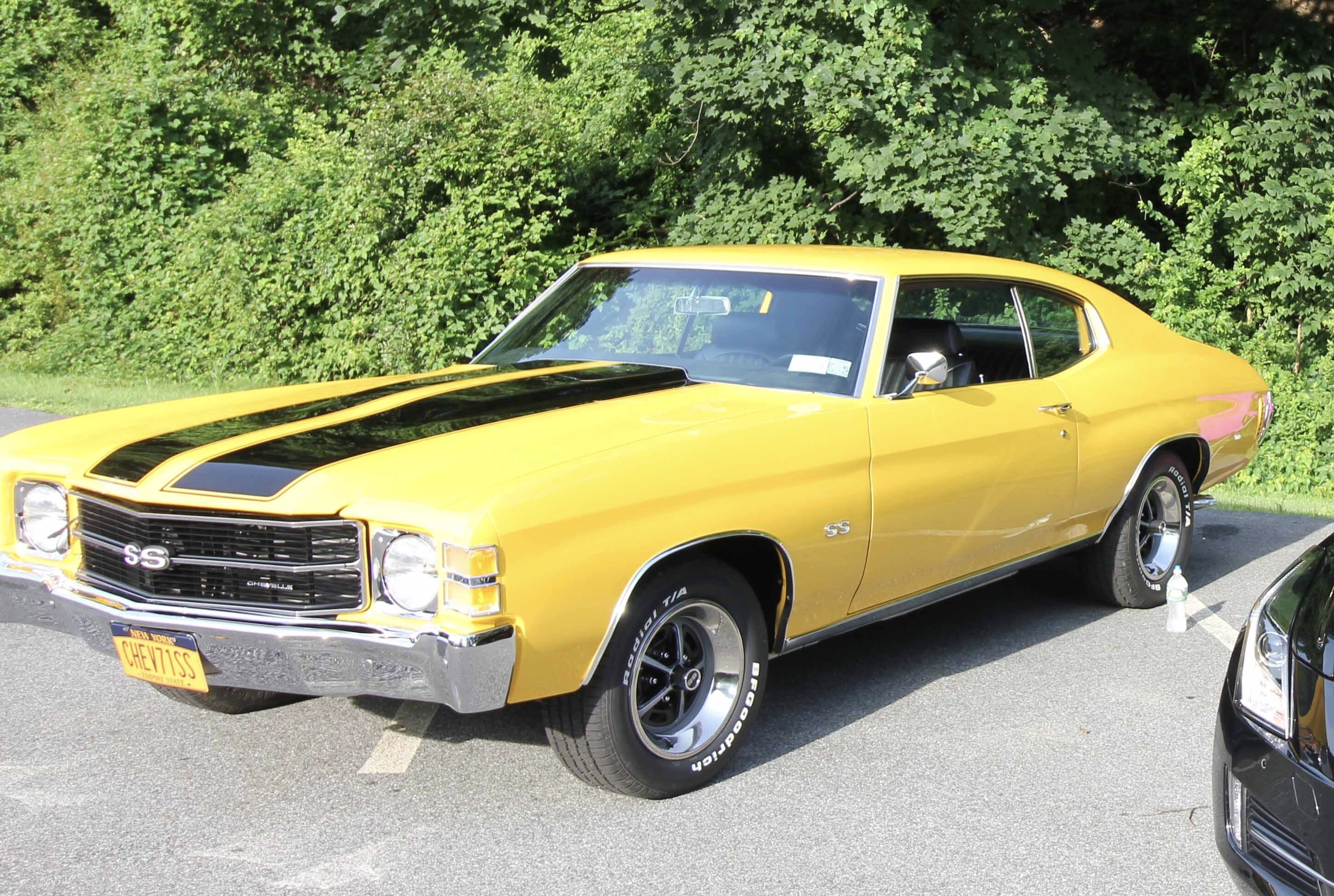 1971 Chevrolet Chevelle for sale near Mount Kisco, New York 10549