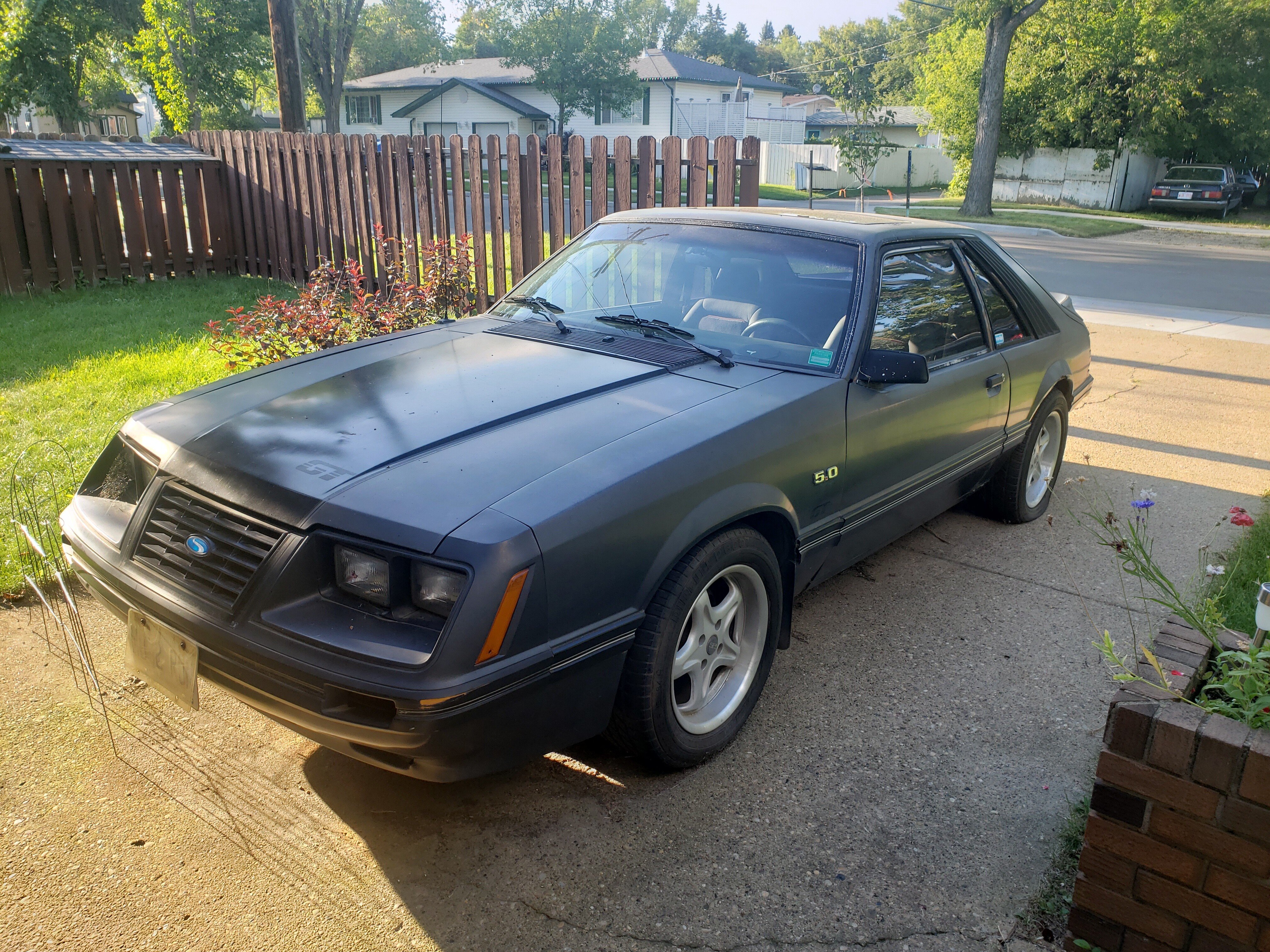 Ford mustang 1984