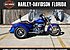 2019 Harley-Davidson Trike Freewheeler for sale 200639178