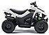 2019 Kawasaki KFX50 for sale 200689831