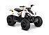2019 Can-Am DS 70 for sale 200735995
