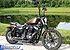 2019 Harley-Davidson Sportster Iron 883 for sale 200759519