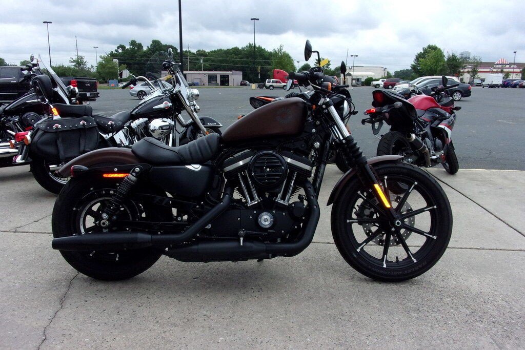 harley davidson 883 for sale near me