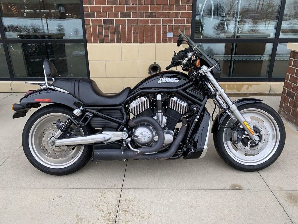 harley davidson night rod for sale