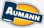 Aumann Auctions