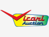 Vicari Auction